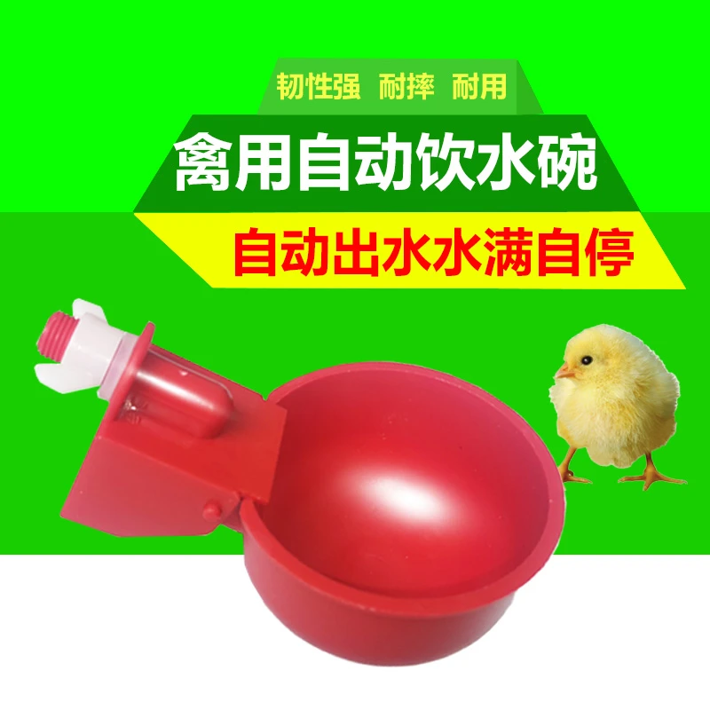 鸡鸭鹅通用自动出水水桶鸡鸭鹅喂水神器饮水碗雏鸡鸽子自动饮水器
