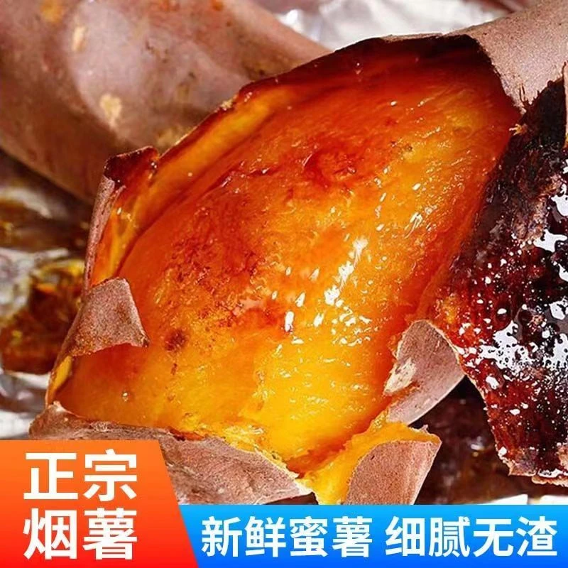 正宗烟薯25号流油蜜薯红薯地瓜番薯烤山芋5斤装吃热量低露天