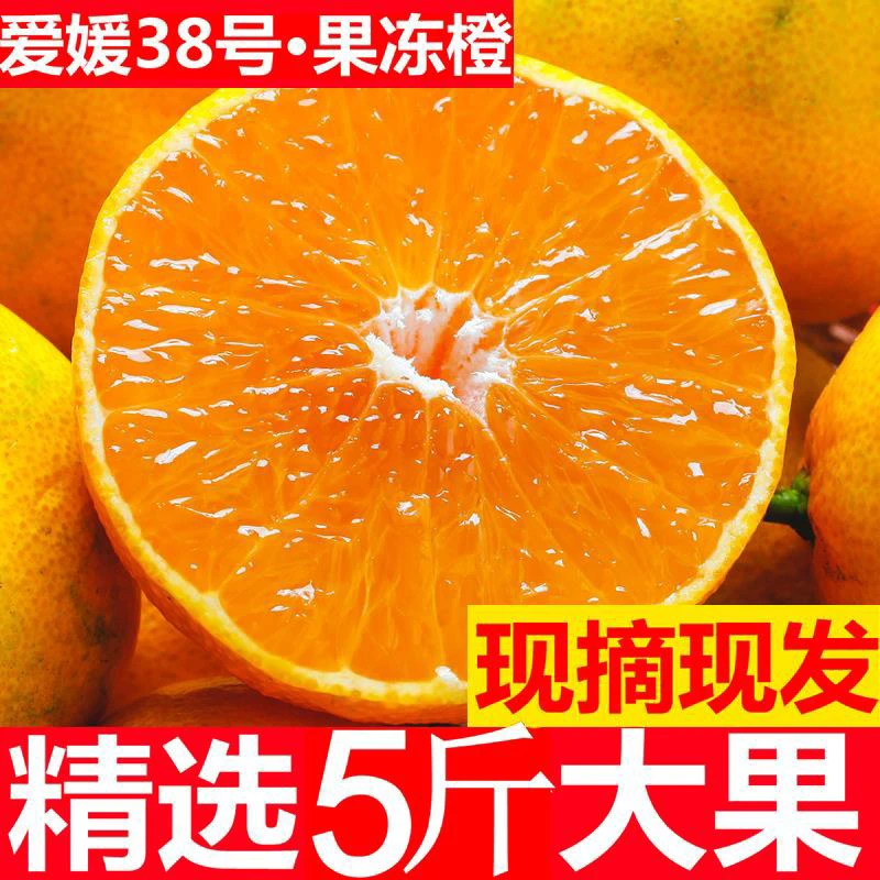 (开园福利)四川爱媛爆汁果冻橙进口5斤橙子橘子新鲜水果