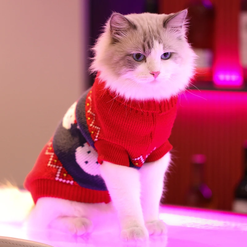 猫咪衣服冬季保暖新年圣诞布偶狗狗猫猫防掉毛小猫宠物幼猫的毛衣