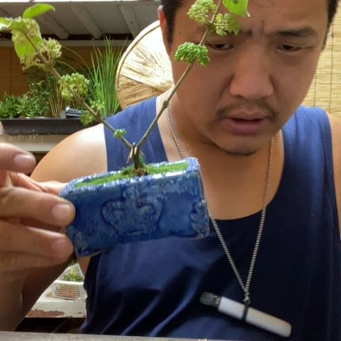 【闪购商品】红陶20CM以下000169