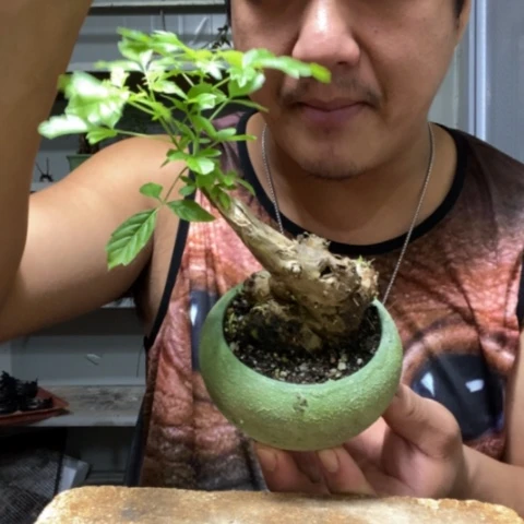 【闪购商品】0000027