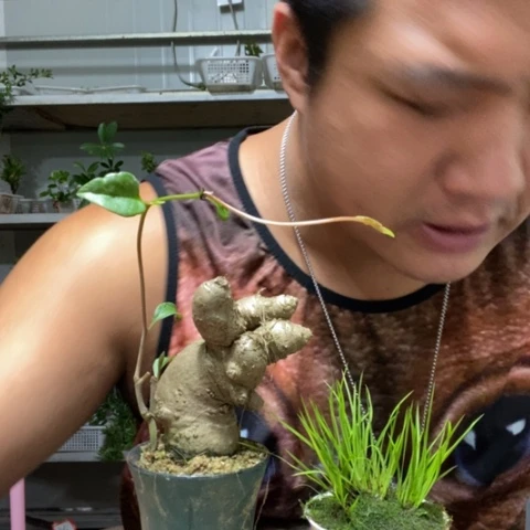 【闪购商品】000000108