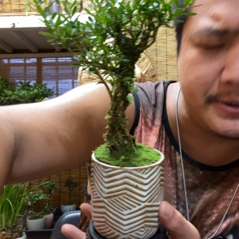 【闪购商品】红陶20CM（含）-50CM（不含）0000000131