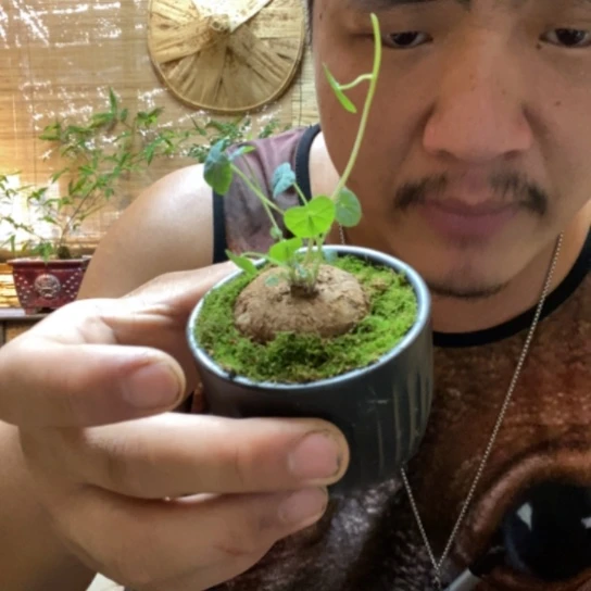 【闪购商品】0000000169