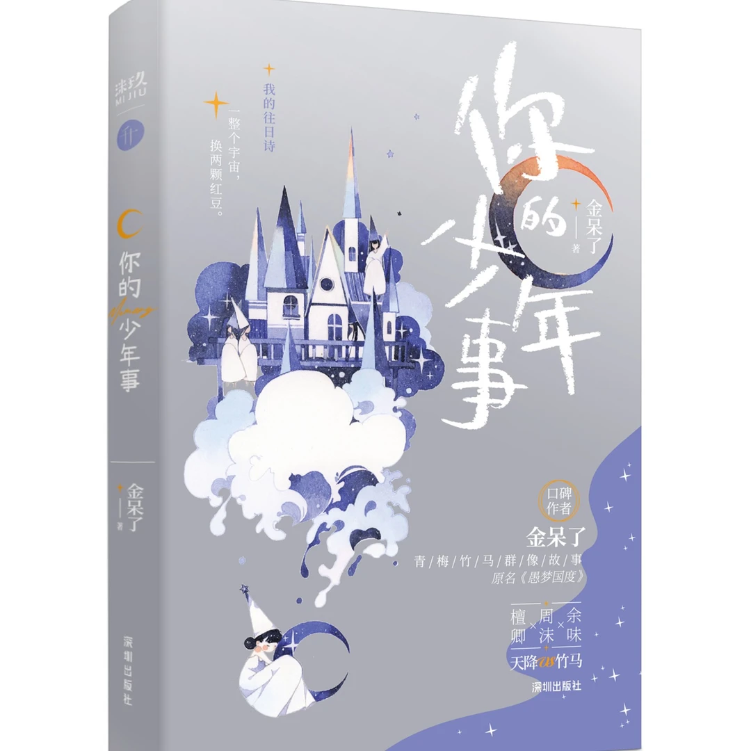 正版图书 你的少年事