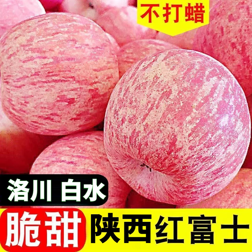 【与辉I同行】陕西白水苹果洛川红富士苹果应季水果新鲜脆腻2-10斤
