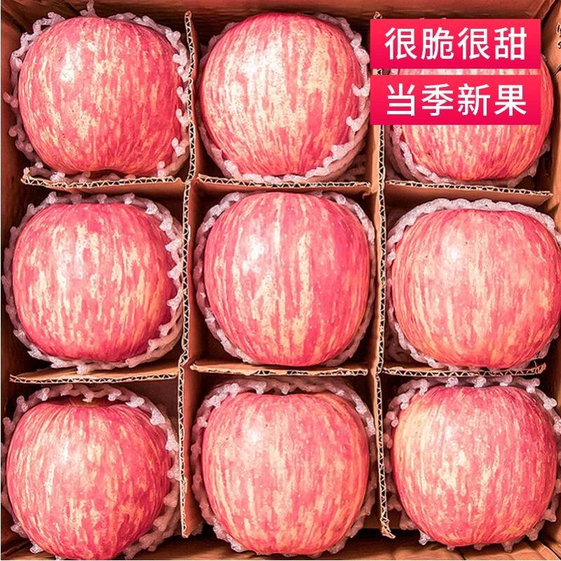 【东方I薽选】现发正宗陕西洛川红富士苹果2/5/10斤脆甜多汁新鲜水
