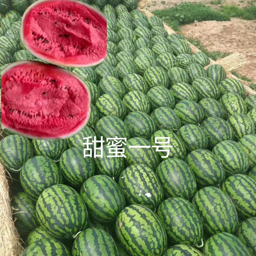 甜蜜一号甜王西瓜种子约1000粒/罐