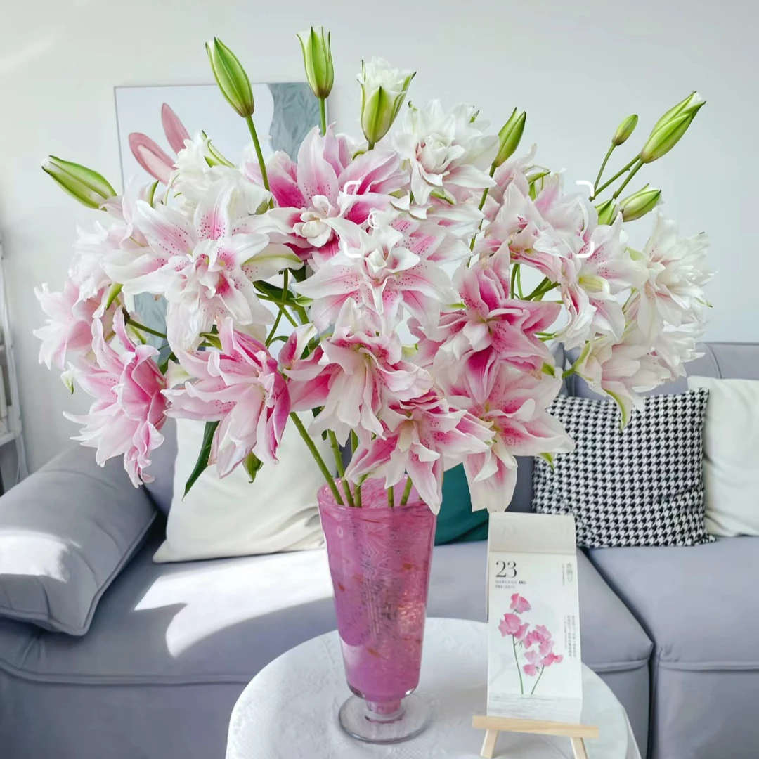 【花和优品】多头玲珑伊莎贝拉（3支）——重瓣百合