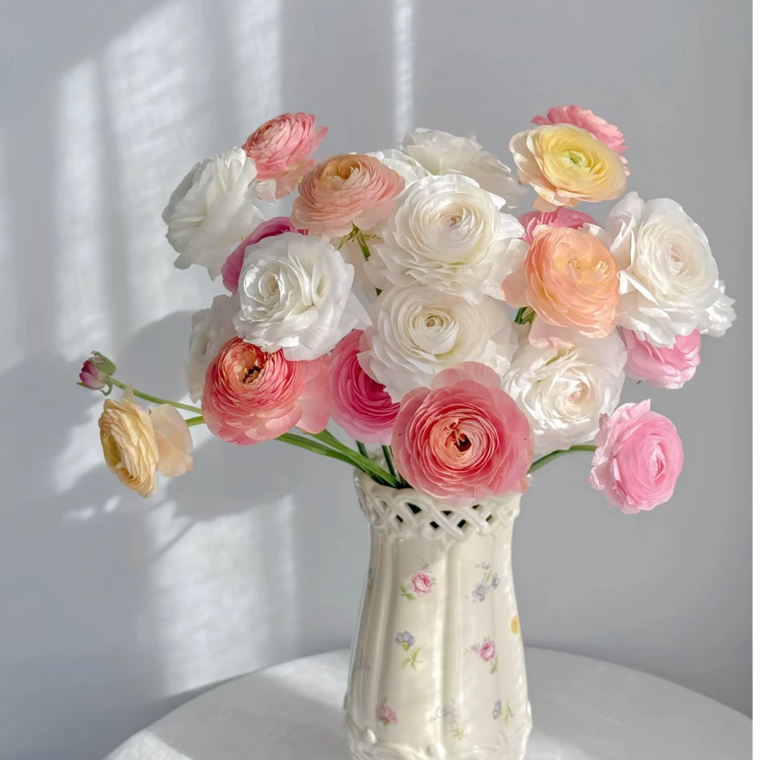 【花和优品】1扎随机洋牡丹