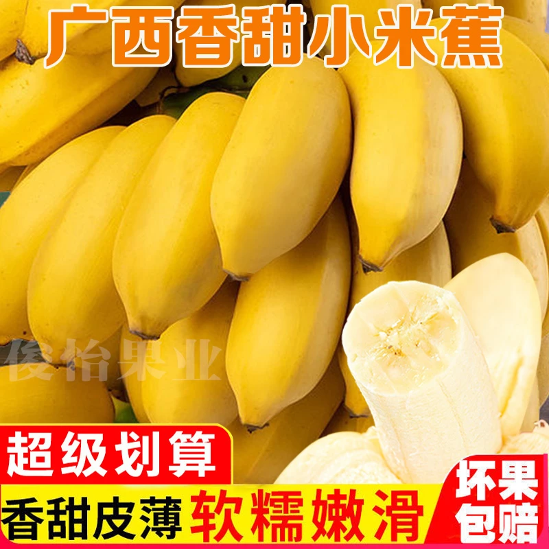 【粉丝福利】广西香甜小米蕉新鲜采摘10斤5/1斤直播间水果批发