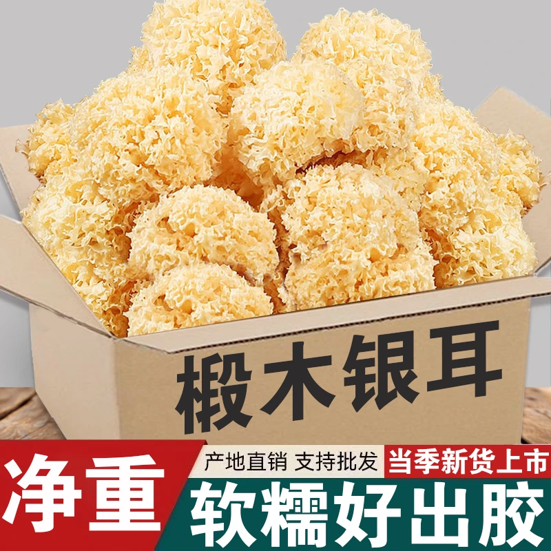 古田椴木小银耳软糯多胶干货农家特产椴木银耳糯耳百合莲子银耳羹