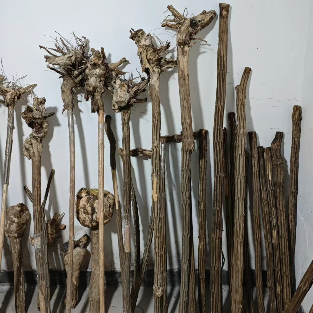 六道木九道木降龙木直播链接1