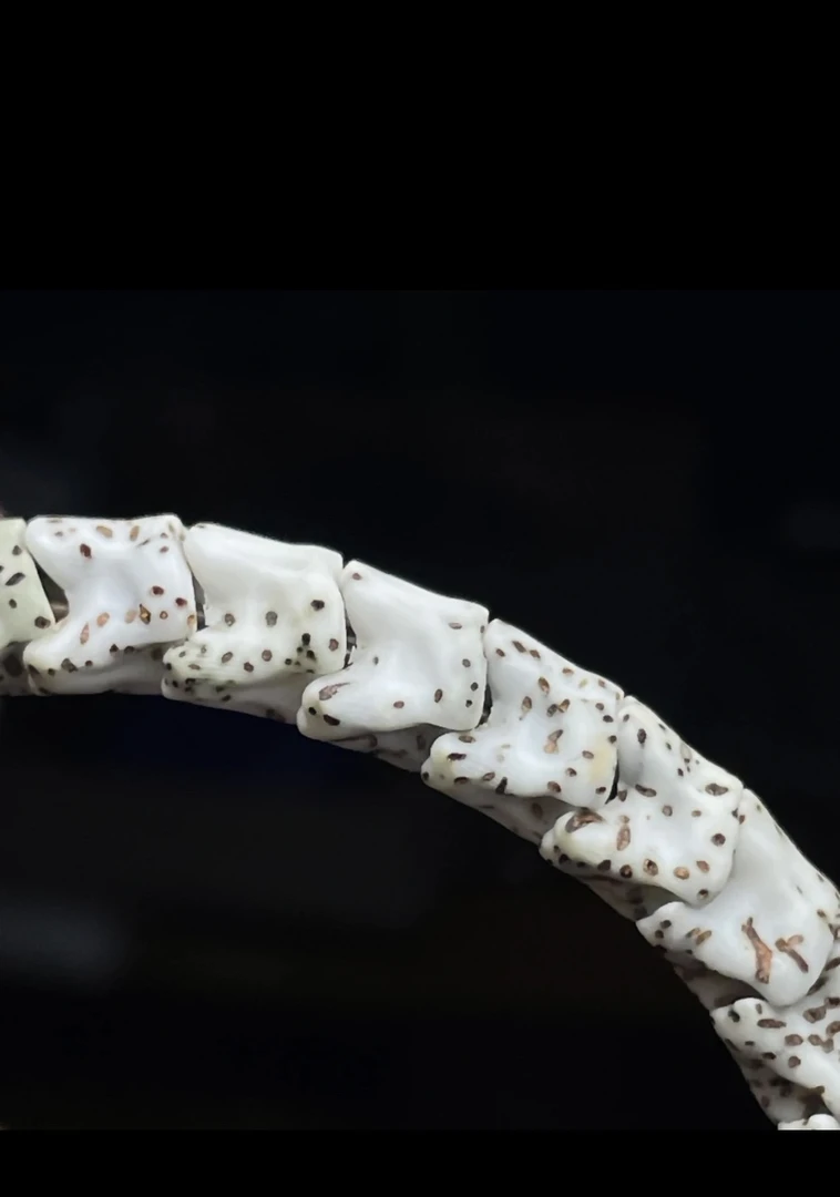 【小白龙】2025蛇年手串海南星月菩提原生态星月蛇骨