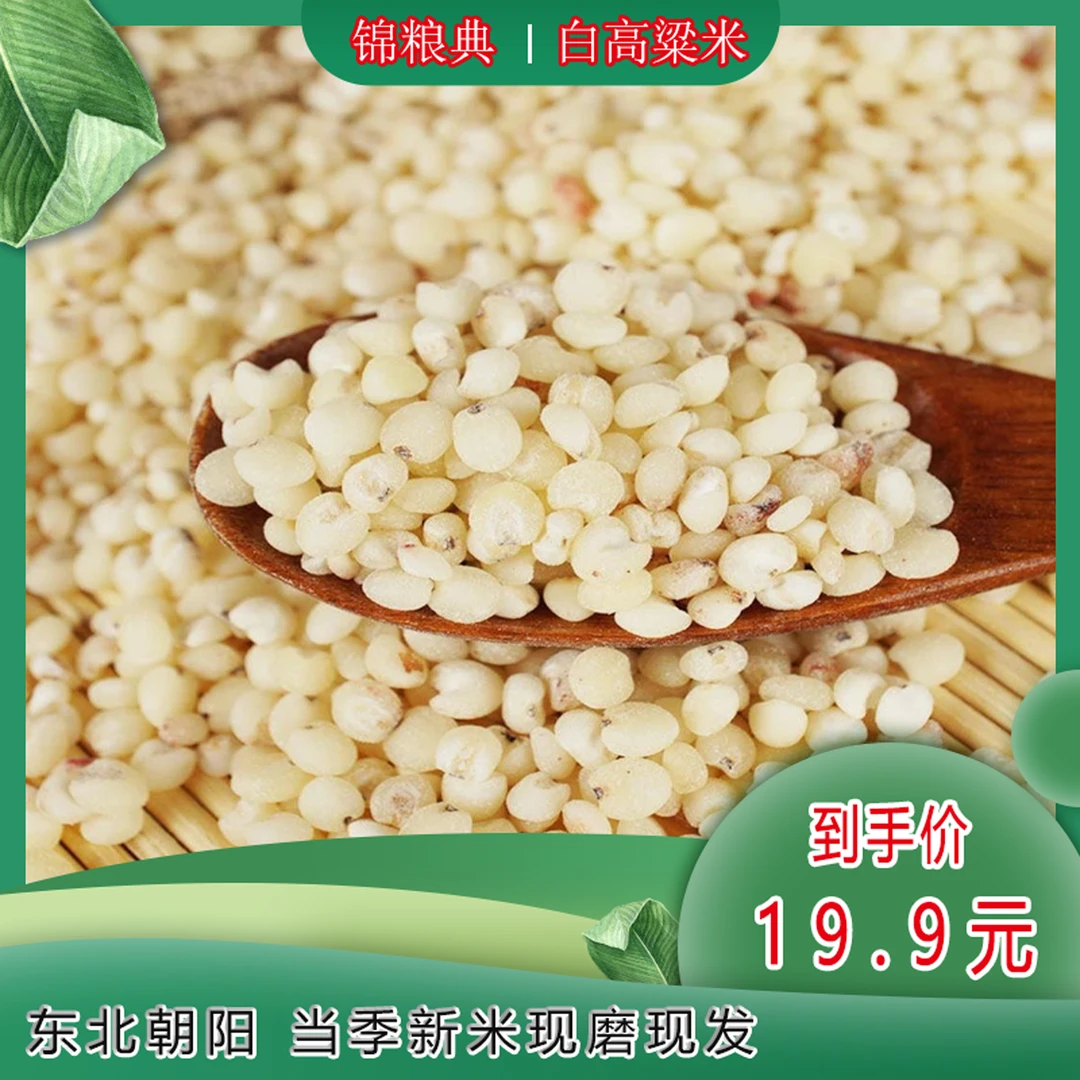 锦粮典  白高粱米 5斤/袋 颗粒米饱满  粗粮