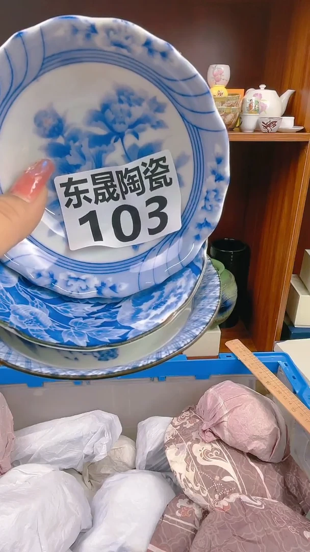【闪购商品】瓷片103dongshengtaoci