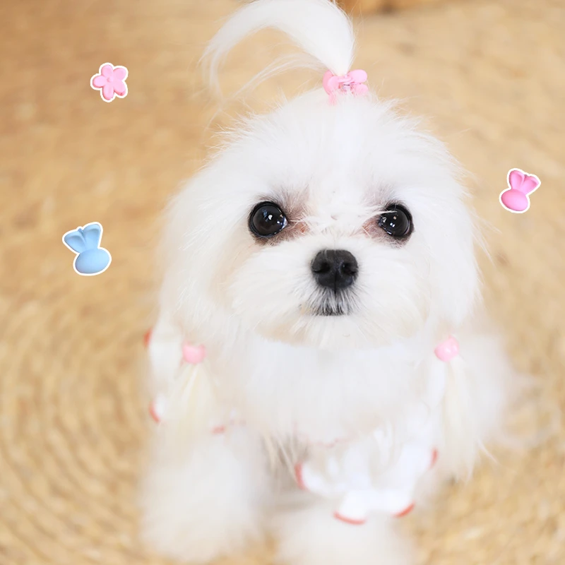 宠物碎发夹约克夏马尔济斯BB夹皇冠卡通狗狗梳夹清新可爱猫咪饰品
