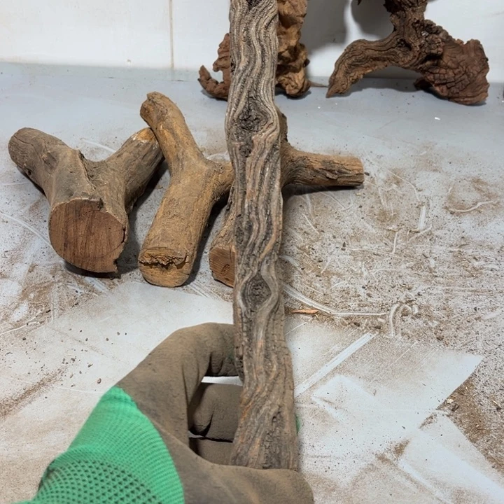 大果紫檀（缅甸花梨）老****家