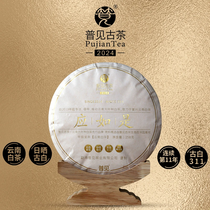 普见古茶2024应如是古白311连续制作第11年1年陈料压制