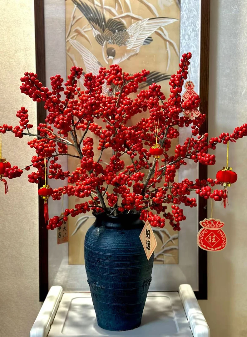 老黑家的冬青【北美冬青】观赏中国红切枝水培瓶插耐寒年宵花花期长
