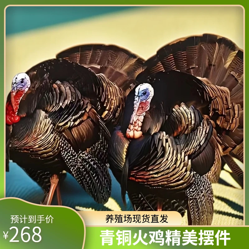 中型青铜火鸡，两斤每只