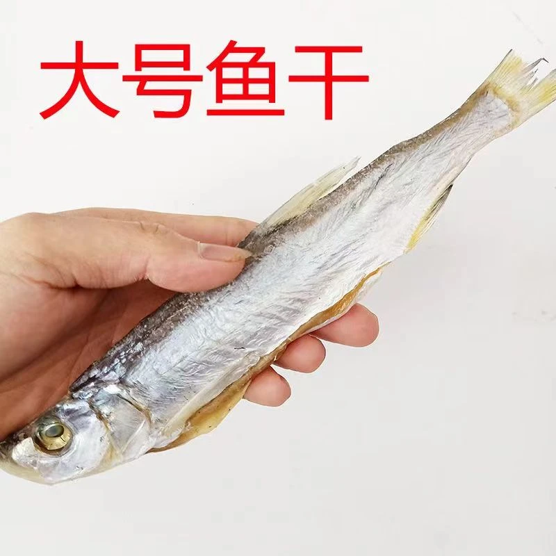 安徽特产腌制晒干风干咸味去内脏河鱼刁子鱼翘嘴鱼白刁大号500克