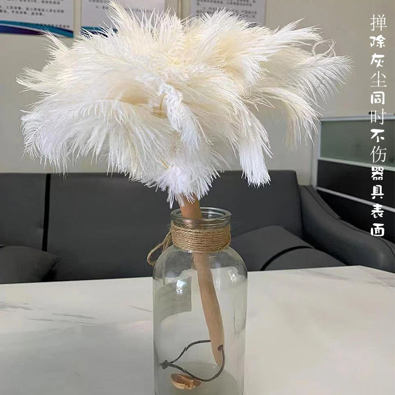 鸵飞飞鸵鸟毛掸可伸缩加厚加长除尘掸加密家用纯手工室内扫灰吸尘
