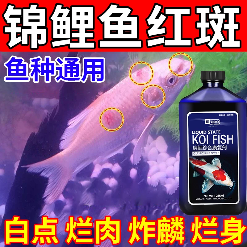 yee锦鲤锦鲤康复剂金鱼观赏鱼烂身烂尾白点病炸鳞红斑综合康复剂