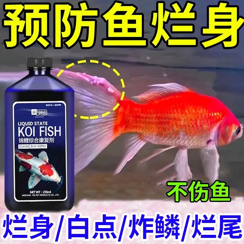 yee锦鲤综合剂观赏鱼白斑红斑白点病炸鳞鱼鳃病预防鱼病鱼塘清塘