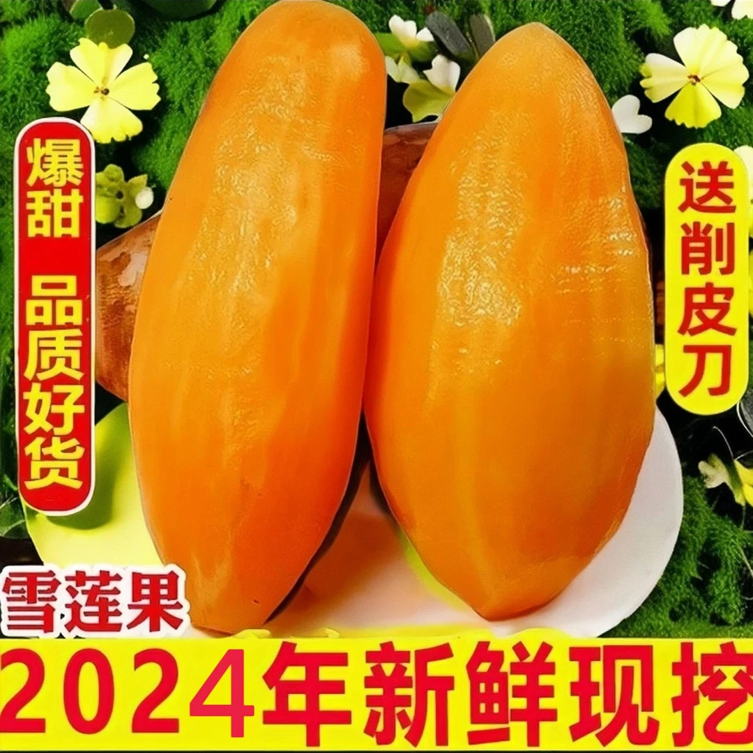 【邮政助农补贴】正宗云南天山雪莲黄心产地直发脆甜多汁浪漫七夕礼