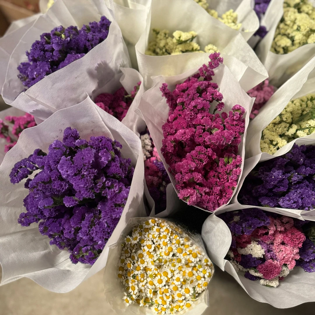 西藏包邮鲜花【勿忘我+洋甘菊】鲜切花