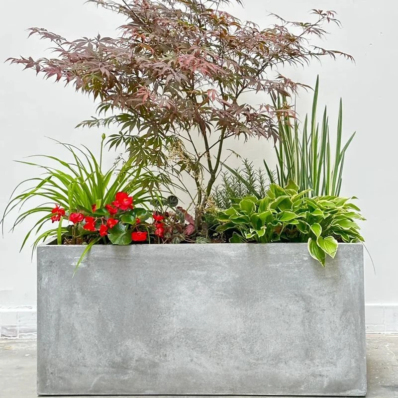 花盆长方形水泥花盆北欧长条马槽客厅阳台户外种菜镁泥花箱大绿植