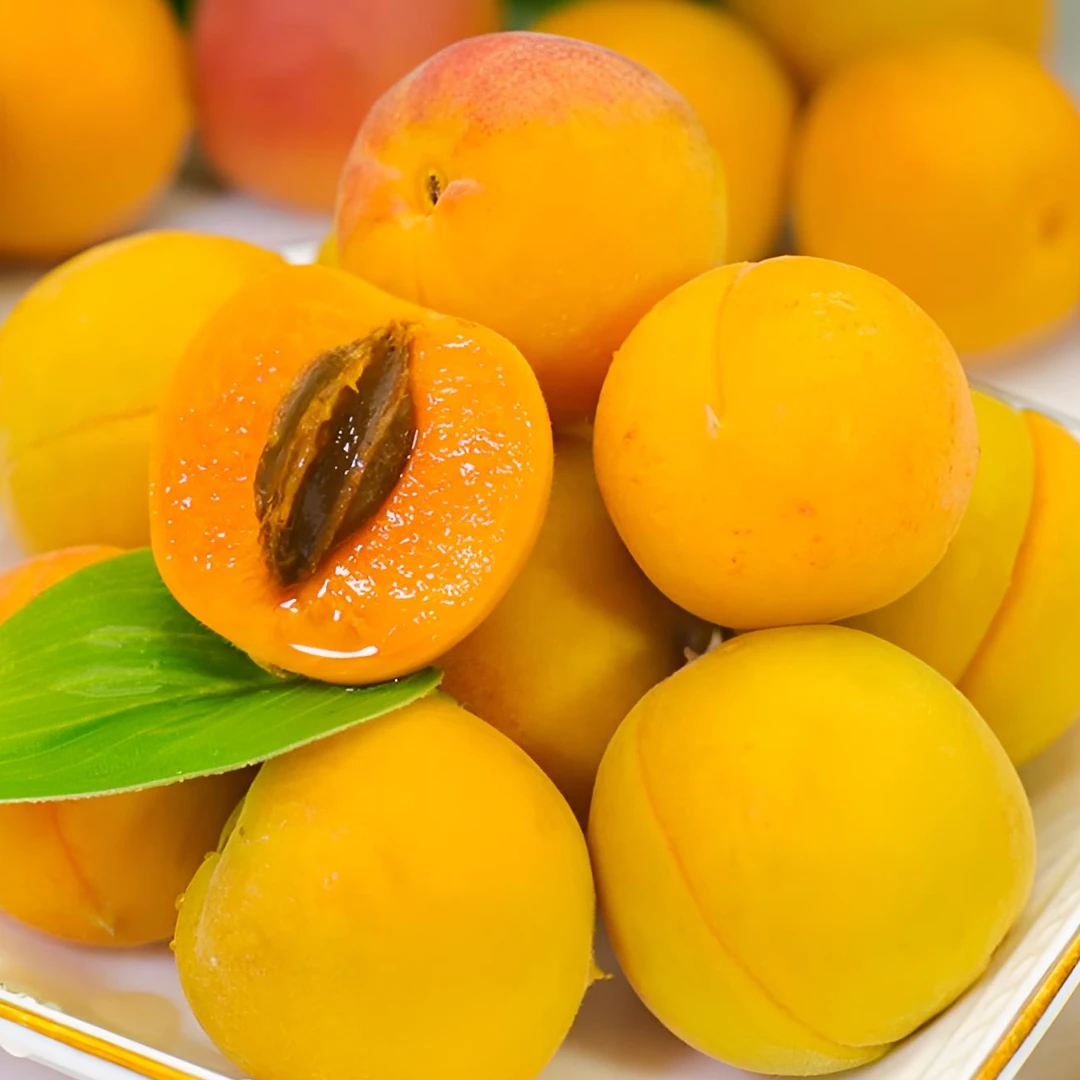 新疆吊杆杏特产甜杏子三斤当季新鲜水果包邮现摘现发香甜健康