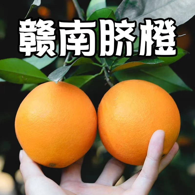 江西正宗赣南脐橙新鲜现摘现发水果10斤20斤当季赣州橙子手剥橙