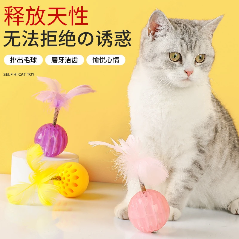 猫咪发光逗猫玩具球木天蓼棒羽毛漏食球磨牙猫玩具自嗨解闷耐咬