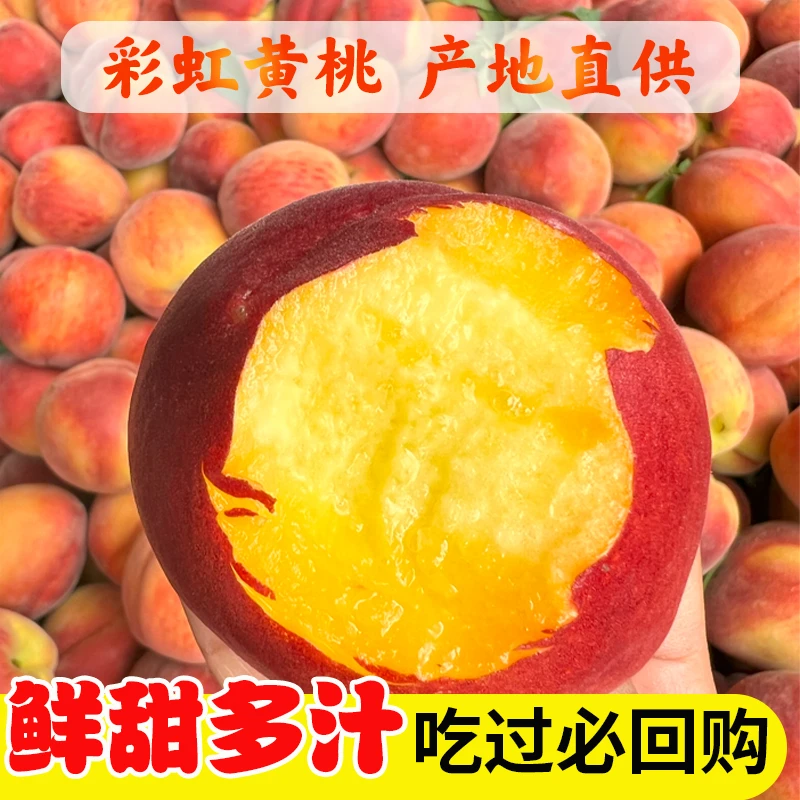 枣阳彩虹黄桃新鲜应季现摘现发黄桃脆甜爽口毛桃孕妇水果鲜嫩多汁