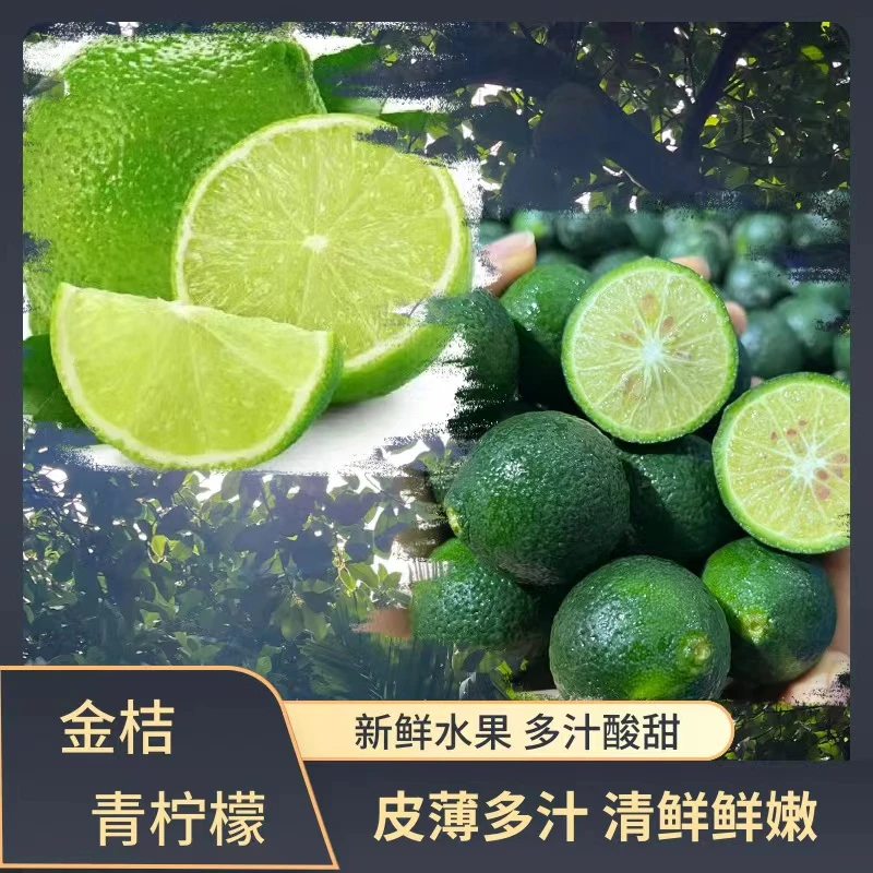 【夏日特惠】海南青柠檬2斤
