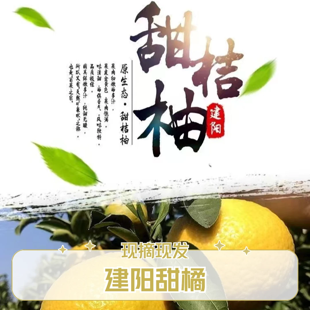 福建南平建阳高山甜桔柚新鲜采摘柚子黄金贡柚当季水果整箱包邮