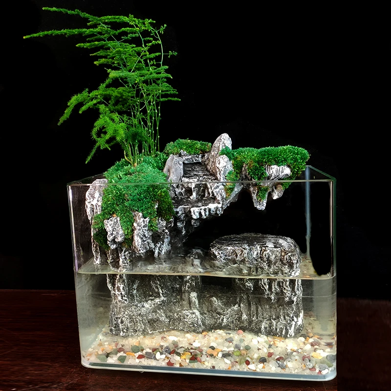 云浮山-流水版-30大鱼缸造景微景观苔藓文竹盆栽盆景植物室内绿植