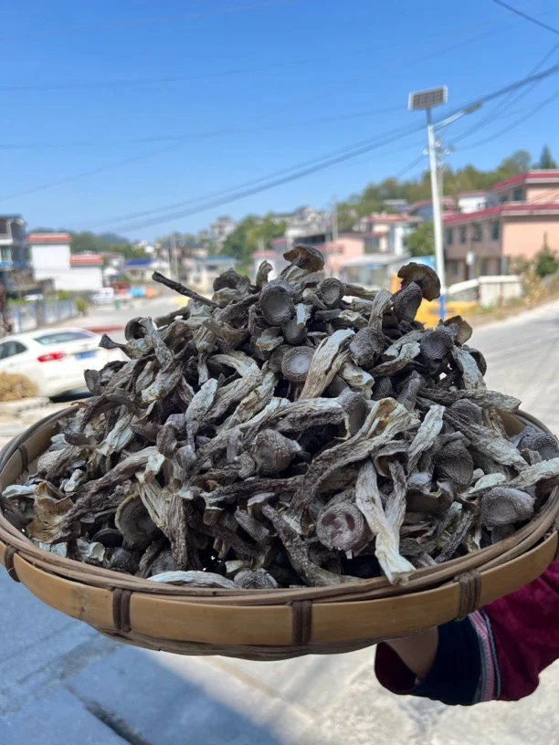 湘西山货土特产