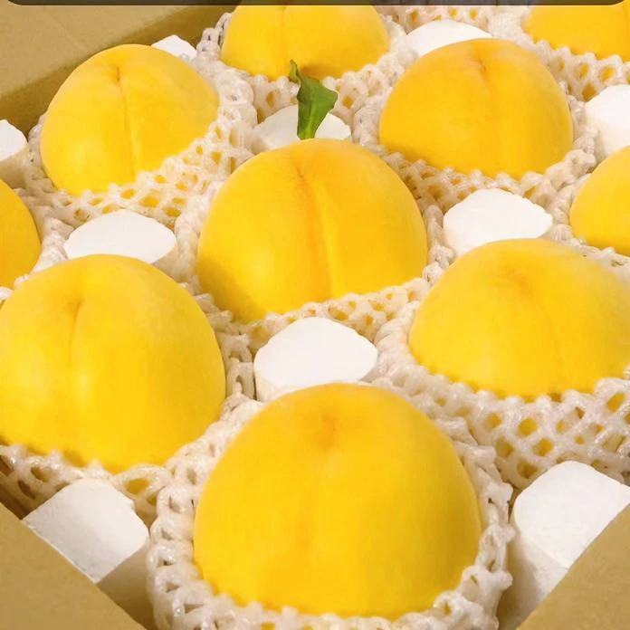 头茬甜黄桃新鲜桃子黄毛桃软糯脆甜当季黄金蜜香甜多汁鲜嫩味浓