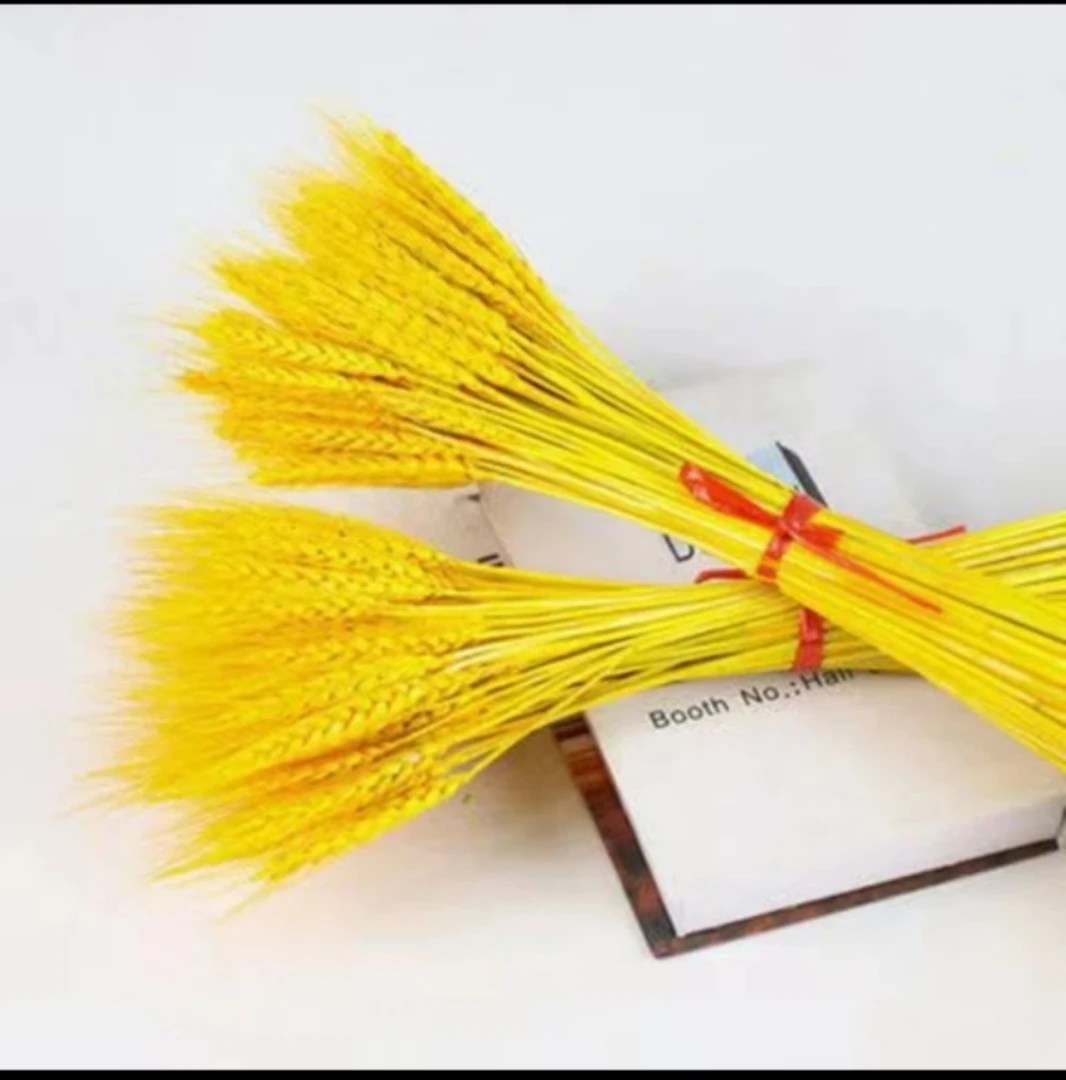 【新疆包邮】T12新春 温馨 大麦真花鲜枝室内客厅摆饰玄关等可做干