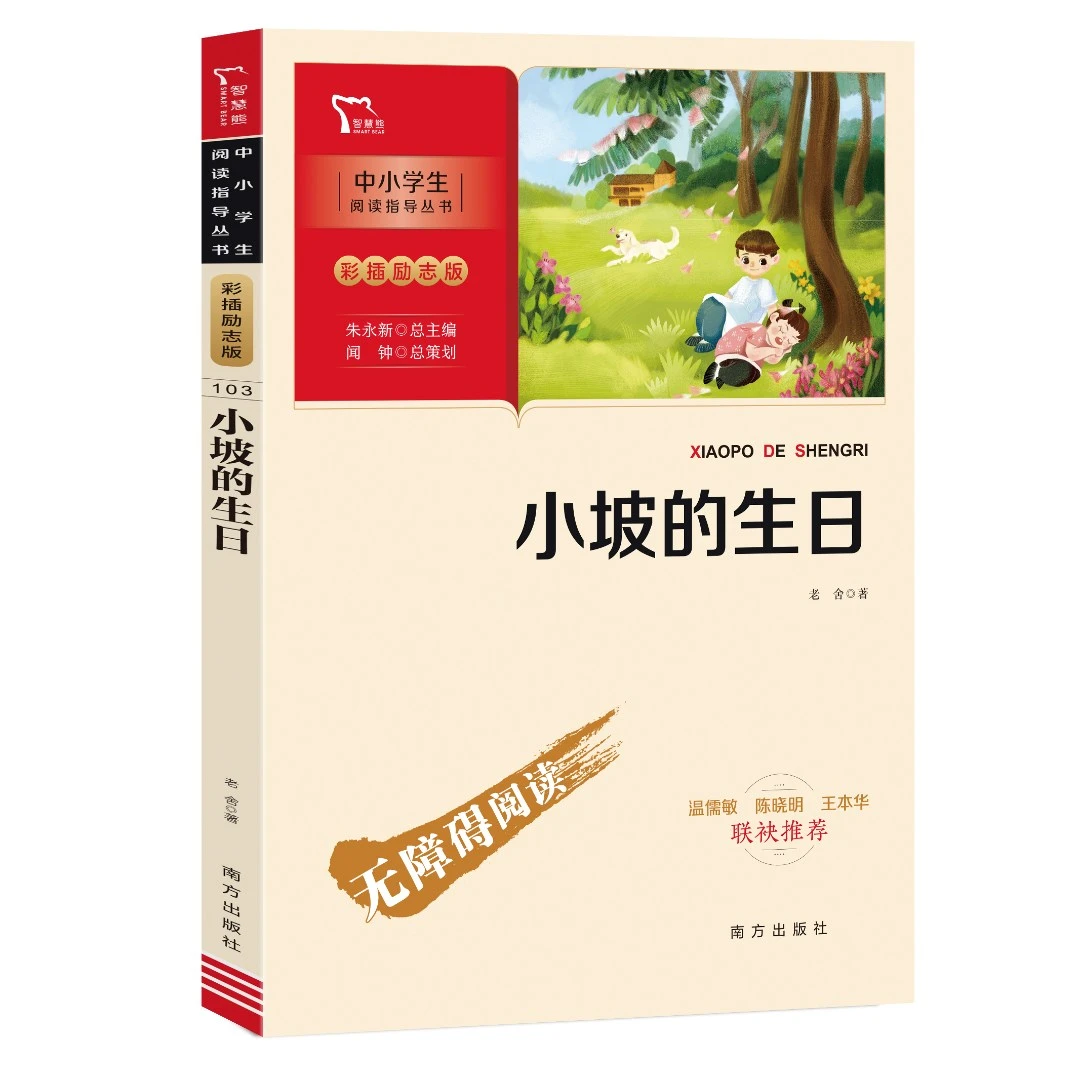 智慧熊小坡的生日课外经典推荐孩子儿童文学书籍中小学生课外阅读
