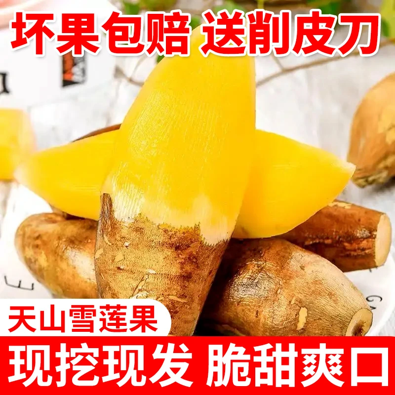 2024年新果云南天山黄心雪莲果新鲜水果脆甜多汁带箱发货