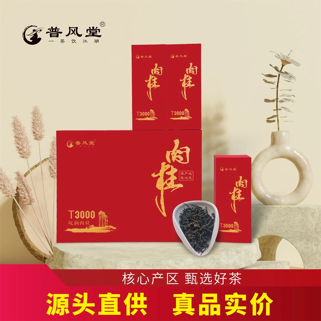 【好礼精选】武夷山岩茶肉桂乌龙茶果香型T3000品质茶礼51g正岩肉桂