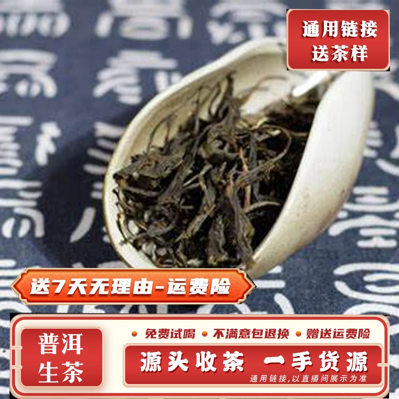 普洱茶730号500g2021年勐海贺开曼迈古树生散茶带茶样MK2638