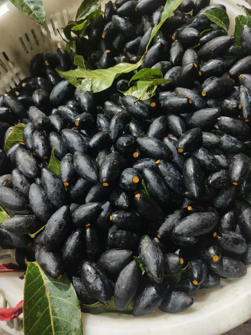 潮汕特产黑橄榄油榄一斤包邮