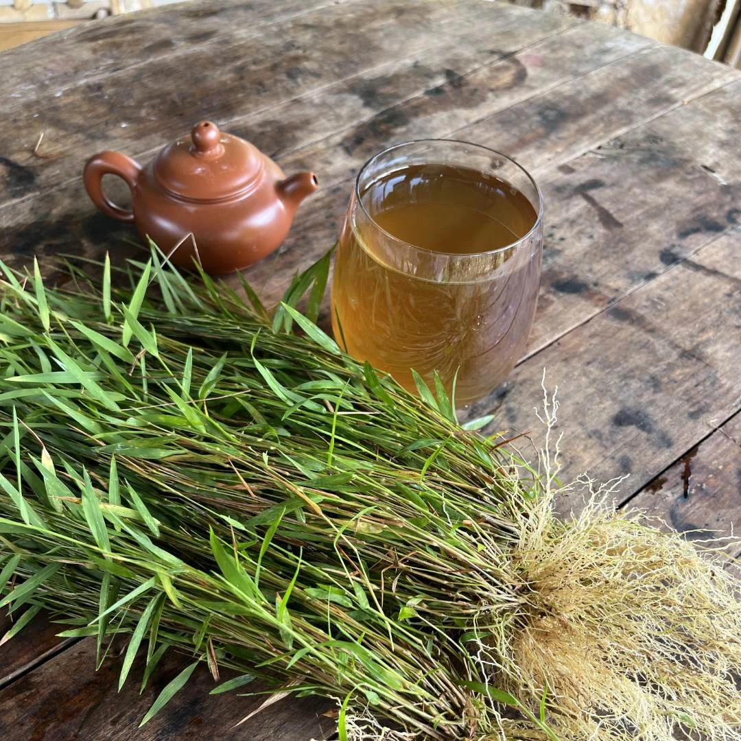 潮汕新鲜天然现采猫 毛草金丝草黄毛草450克——500包邮