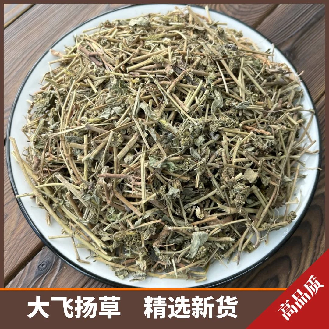 野生飞扬草切段大飞扬草新货干品大乳汁草节节花散装叶菜250g500g